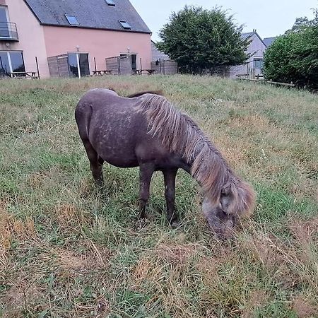 Cottage La Loge Huisnes-sur-Mer Zewnętrze zdjęcie